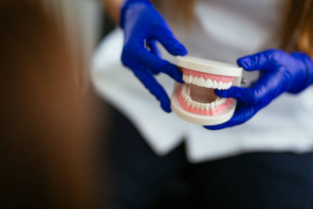 Best Dental Exams and Cleanings  in North Scituate, MA